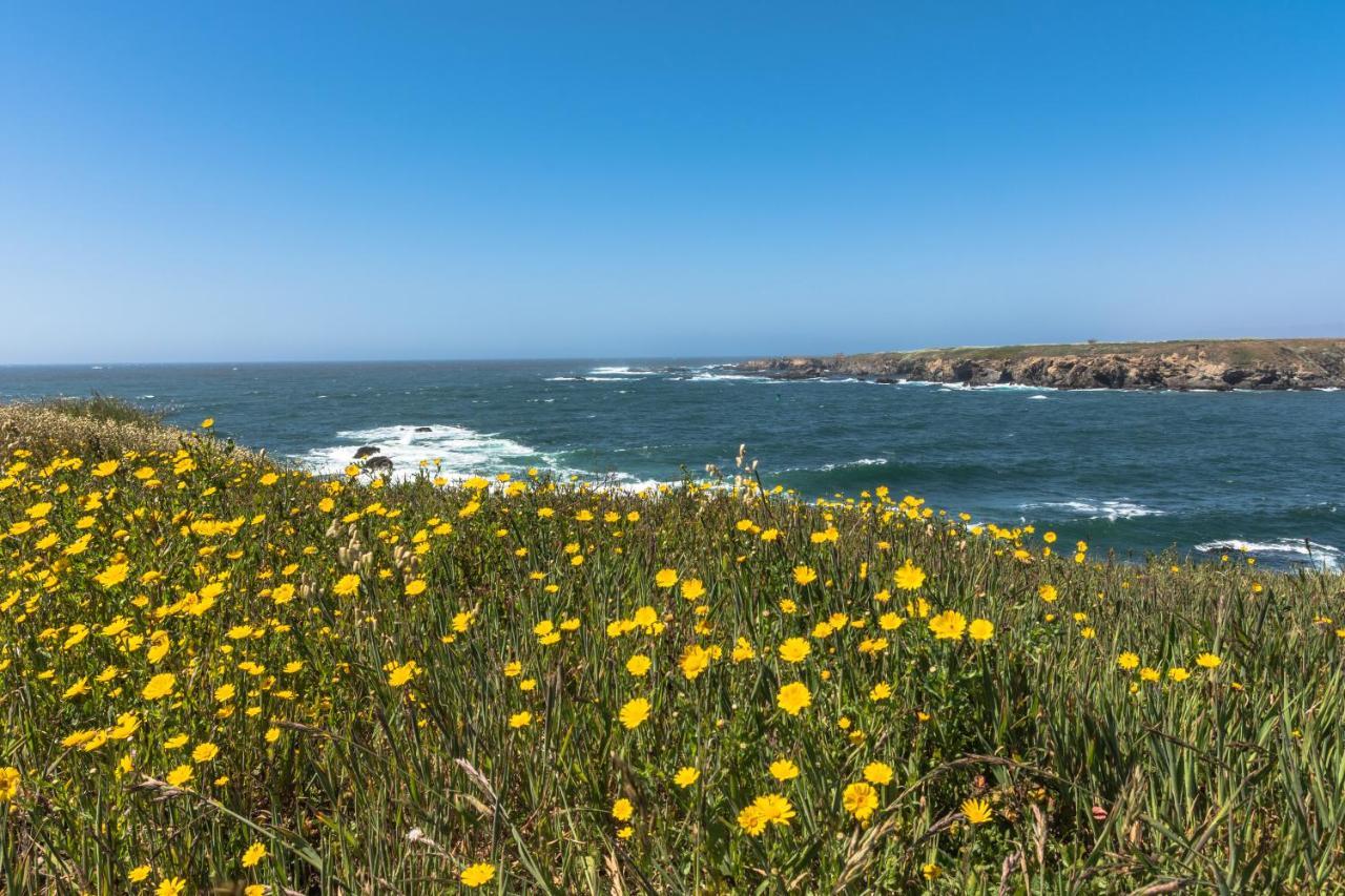 Studio 9 Glass Beach Φορτ Μπραγκ Εξωτερικό φωτογραφία