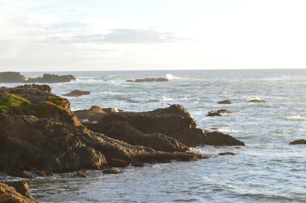 Studio 9 Glass Beach Φορτ Μπραγκ Εξωτερικό φωτογραφία